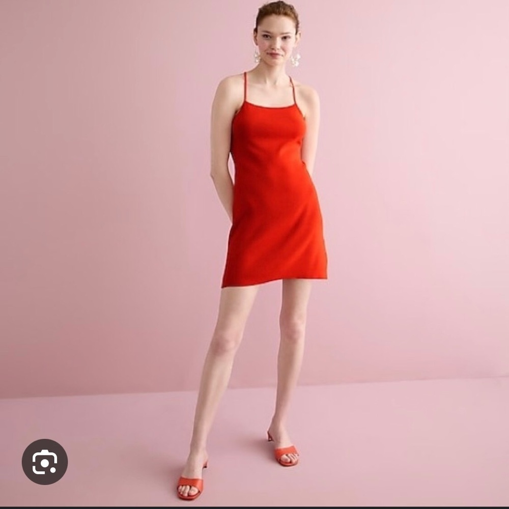 NWT J.Crew Knit Mini Dress